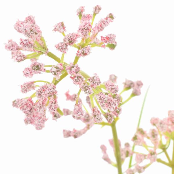 vidaXL 人工フローラ 95 cm プラスチック