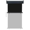 vidaXL バルコニー用 サイドオーニング 105x250cm ブラック
