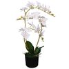 vidaXL 人工観葉植物 蘭 (ラン) ポット付き 65cm ホワイト