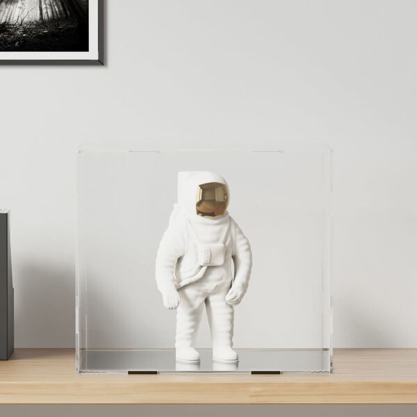 vidaXL ディスプレイボックス 透明 40x36x35 cm アクリル