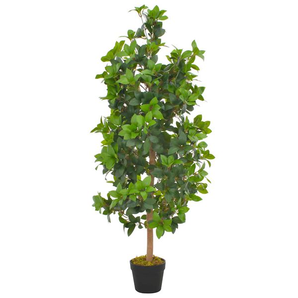 商品画像1/2を表示中