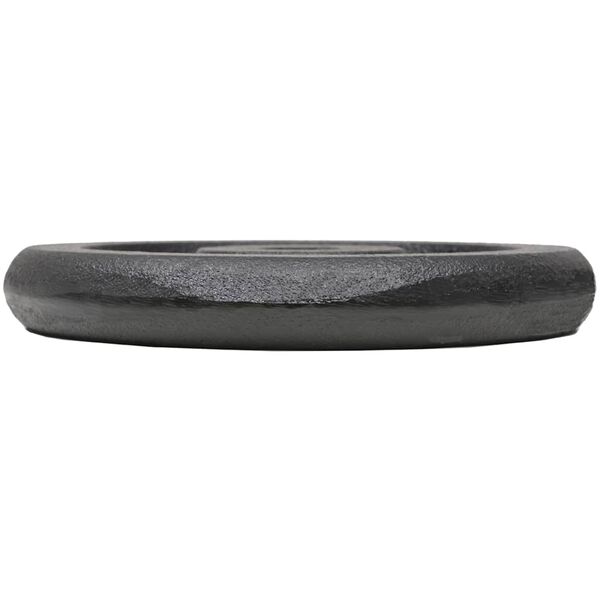 vidaXL バーベルプレート 4点 4x5kg 鋳鉄製