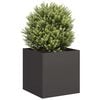 Anthracite