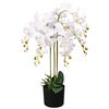 vidaXL 人工観葉植物 蘭 (ラン) ポット付き 75cm ホワイト