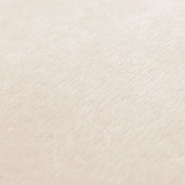 vidaXL クッション 2点セット 布 60x60cm オフホワイト