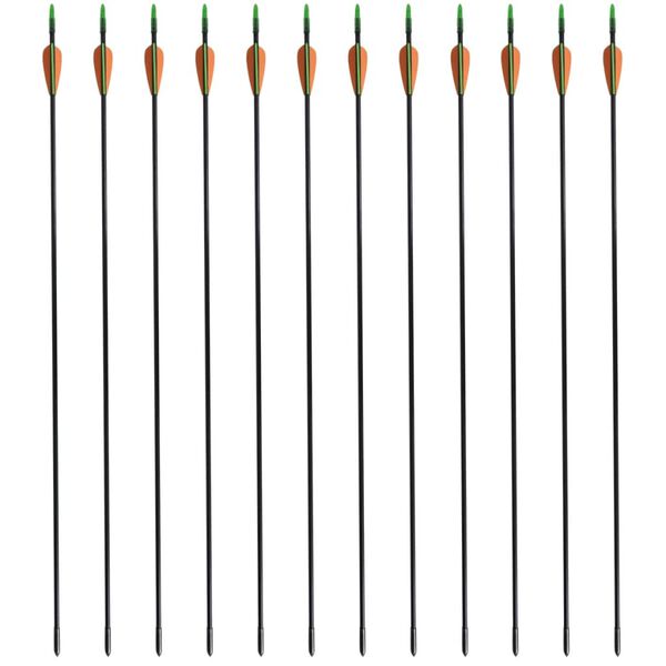 vidaXL リカーブボウ用 矢 標準タイプ 30インチ 0.6cm グラスファイバー製 12点
