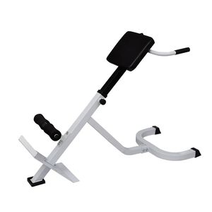 vidaXL バックエクステンションベンチ