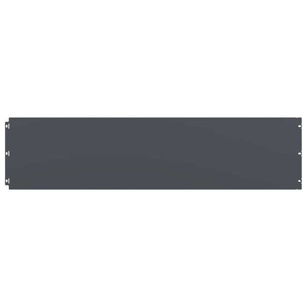 vidaXL 芝生エッジング 10枚入り アンスラサイト 25x103 cm 冷間圧延鋼