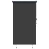 vidaXL 屋外用ローラーブラインド 140x250cm アントラシート