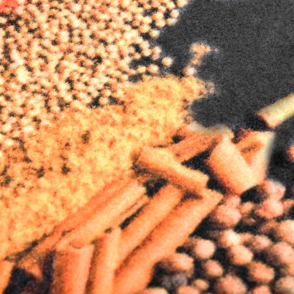 vidaXL キッチンマット 洗濯可能 SPICE 60x180cm