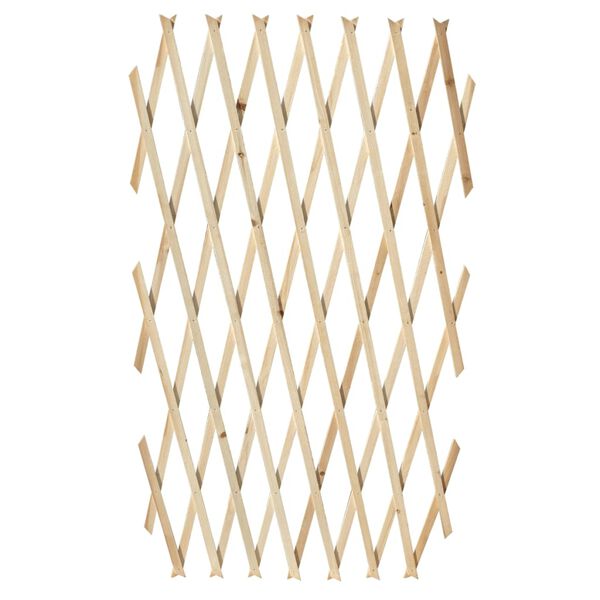vidaXL トレリス フェンス ５面 無垢材 180x90cm
