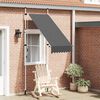 vidaXL 手動引き込み式オーニング 100cm アントラシート