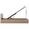 vidaXL 油圧式収納ベッドフレーム カプチーノ 合成皮革製 100x200cm
