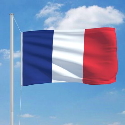 vidaXL フランス 国旗 90x150cm