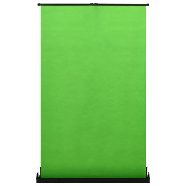 vidaXL 撮影用 背景布 グリーン 95インチ 4:3