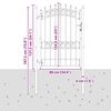 vidaXL フェンスゲート Emmen スパイク付き スチール製 103x134,5 cm ブラック
