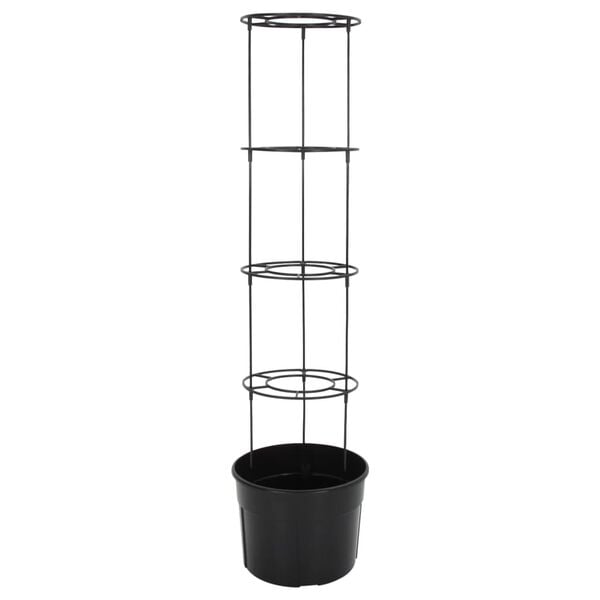 商品画像4/6を表示中