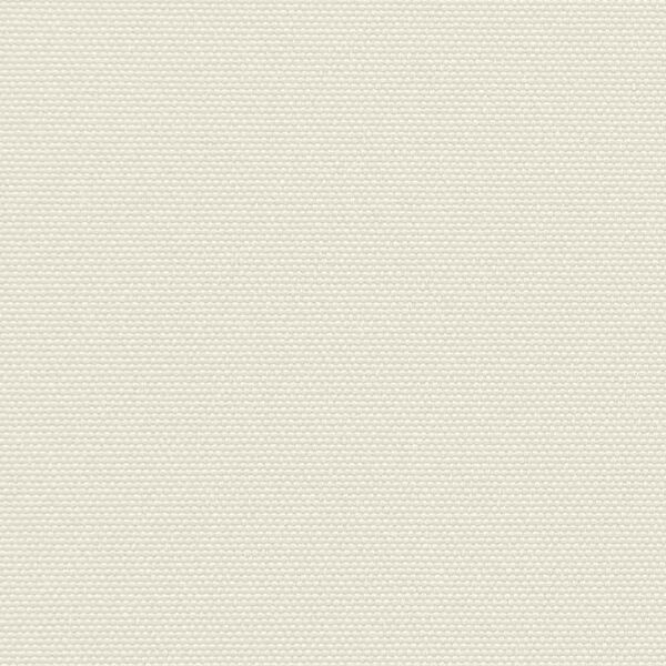 vidaXL 引き込み式サイドオーニング 120x300cm クリーム