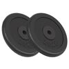 vidaXL バーベルプレート 2点 2x20kg 鋳鉄製