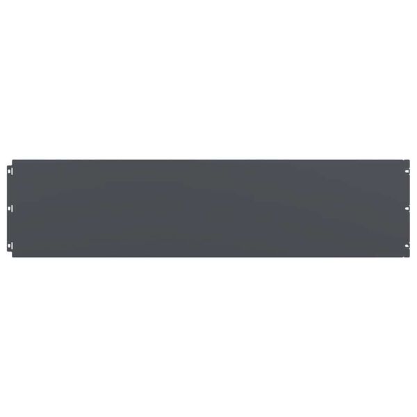 vidaXL 芝生エッジング 20枚入り アンスラサイト 25x103 cm 冷間圧延鋼