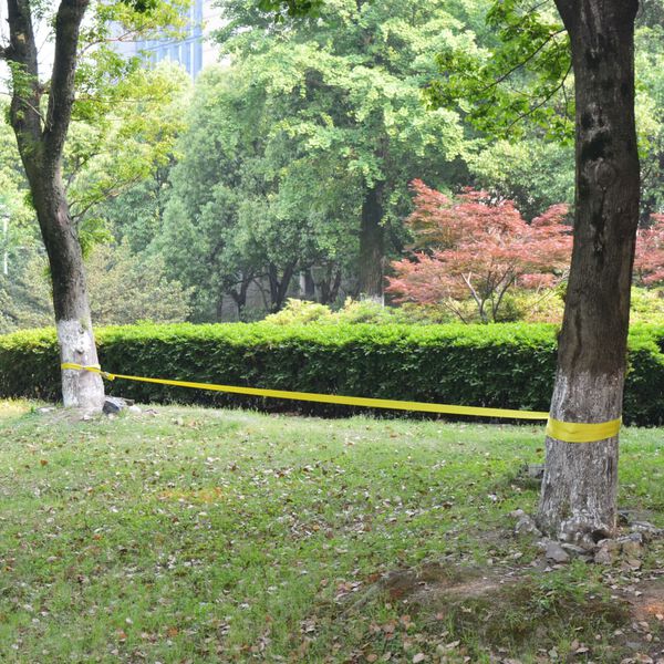 vidaXL スラックライン 15mx50mm 150kg イエロー