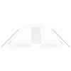 vidaXL 温室 スチールフレーム ホワイト10m² 5x2x2.3 m