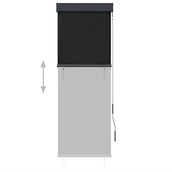 vidaXL 屋外用ローラーブラインド 60x250cm アントラシート