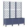 Blue_grey