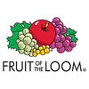 Fruit of the Loom Fruit of the Loom Tシャツ 10点 グレー 3XL コットン製