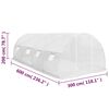 vidaXL 温室 18m&sup2; 600x300x200cm