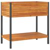 vidaXL ガーデンプランター（棚付き）80x45x80cm　無垢材（アカシア材）とスチール製