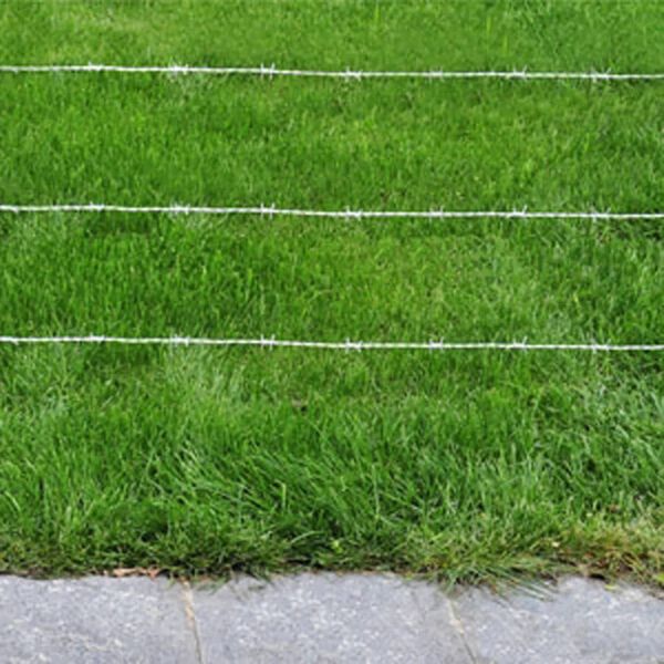 vidaXL バーブドワイヤー 緑 100 m 溶融亜鉛メッキ鋼