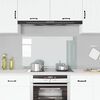 vidaXL キッチン用 汚れ防止板 透明 100x60cm 強化ガラス製