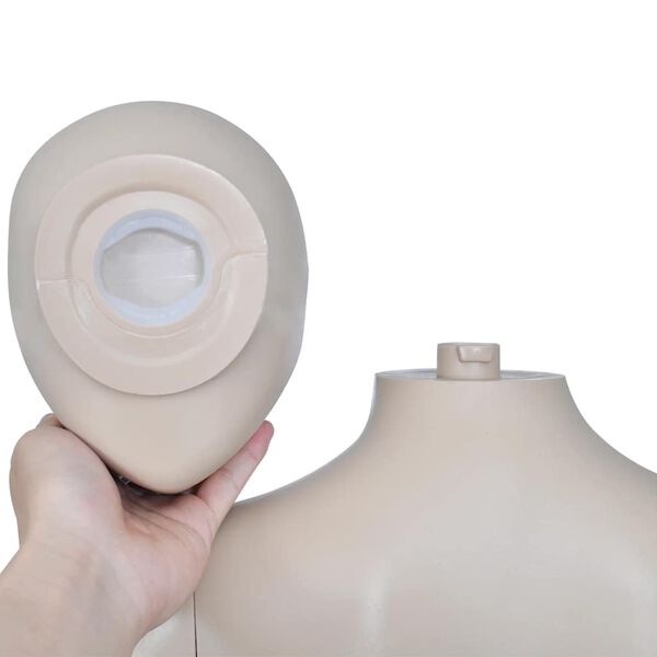 vidaXL マネキン 女性 丸い頭部