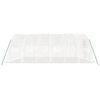 vidaXL スチールフレーム温室 ホワイト 30 m&sup2; 6x5x2.3 m