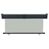 vidaXL バルコニー用 サイドオーニング 165x250cm グレー