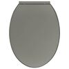 vidaXL 便座 ソフトクローズ機能付き グレー 楕円形