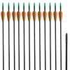 vidaXL リカーブボウ用 矢 標準タイプ 30インチ 0.6cm グラスファイバー製 12点