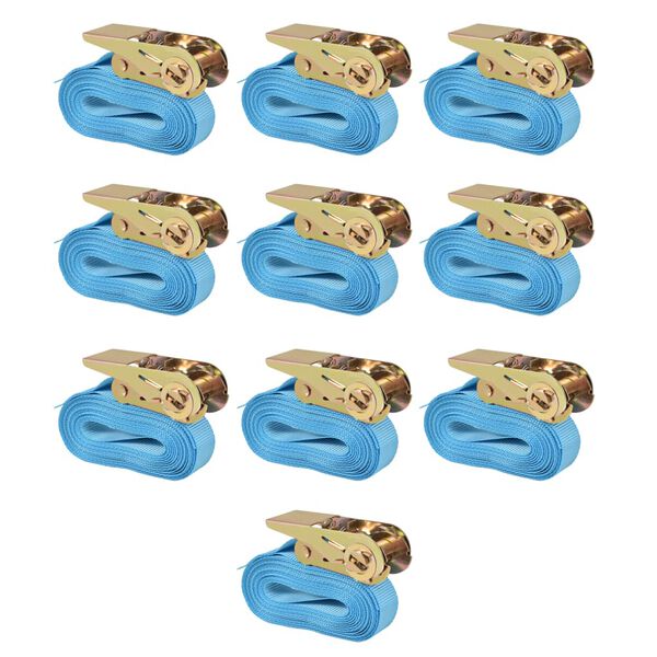 vidaXL ラチェット式 荷締めベルト 10点 0.8トン 4mx25mm ブルー