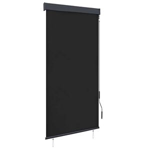 vidaXL 屋外用ローラーブラインド 100x250cm アントラシート