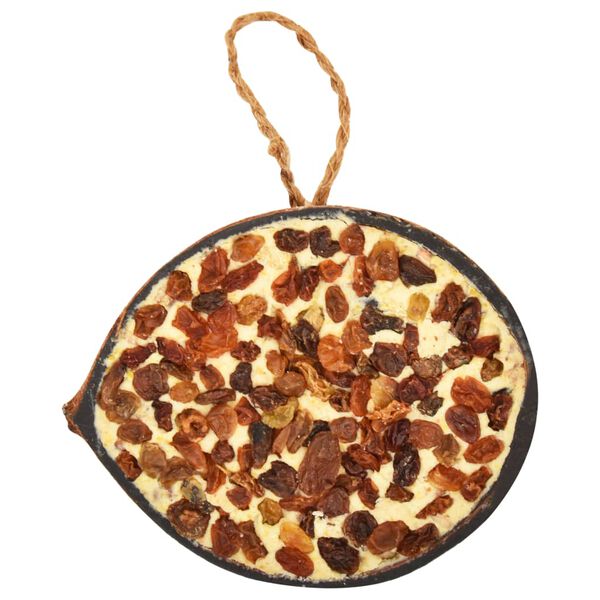 vidaXL バードフード入り ココナッツハーフカット 10点 290g