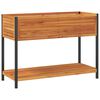 vidaXL ガーデンプランター（棚付き）110x45x80cm　無垢材（アカシア材）とスチール製