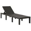 vidaXL サンラウンジャー プラスチック製 アントラシート