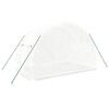 vidaXL 温室 スチールフレーム ホワイト 6m² 3x2x2 m