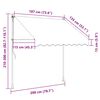 vidaXL 手動引き込み式オーニング 200cm アントラシート