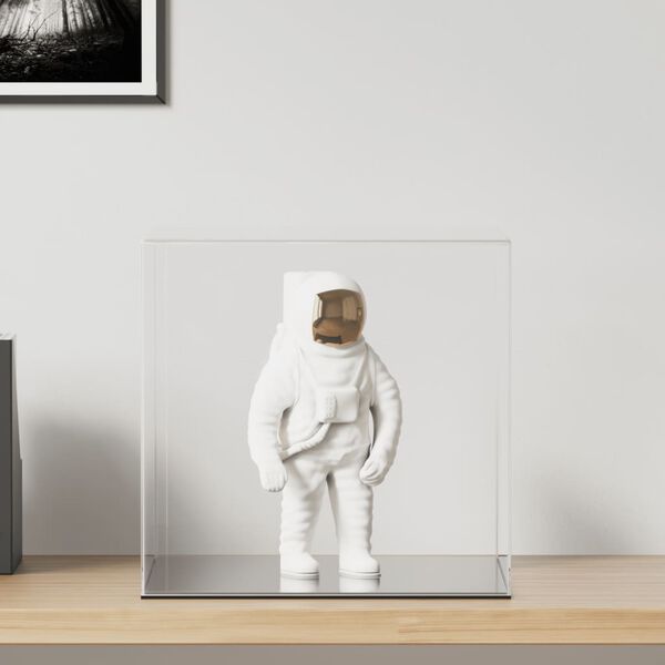 vidaXL ディスプレイボックス 透明 40x36x35 cm アクリル