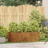 vidaXL プランター ラスティ 120x40x40 cm 耐候性スチール