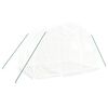 vidaXL 温室 スチールフレーム ホワイト 6m² 3x2x2 m