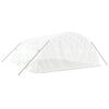 vidaXL スチールフレーム温室 ホワイト 30 m&sup2; 6x5x2.3 m