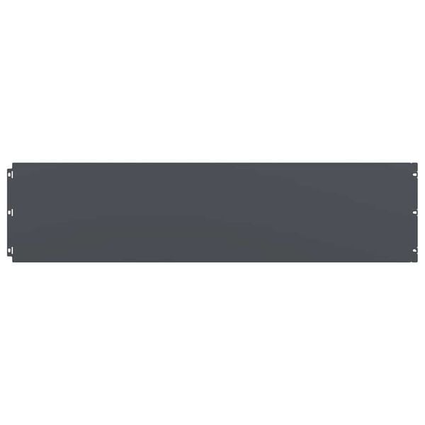 vidaXL 芝生エッジング 10枚入り アンスラサイト 25x103 cm 冷間圧延鋼